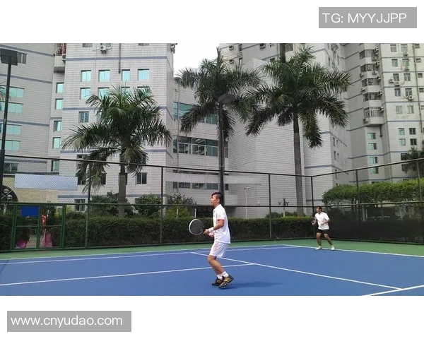 深圳网球队的蜕变之旅：从传统强队到国际舞台的崛起与挑战