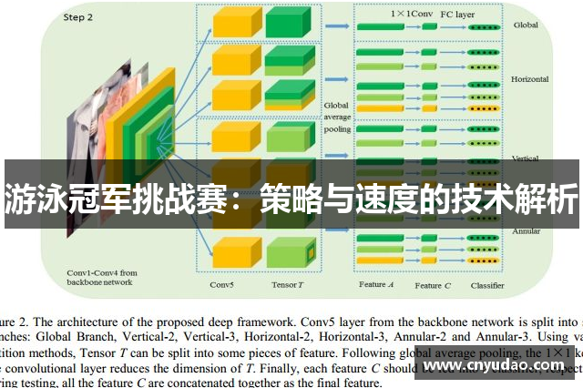 游泳冠军挑战赛：策略与速度的技术解析